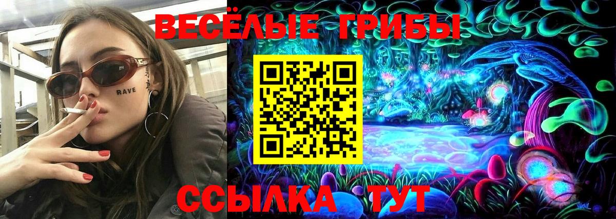 Псилоцибиновые грибы GOLDEN TEACHER Осинники