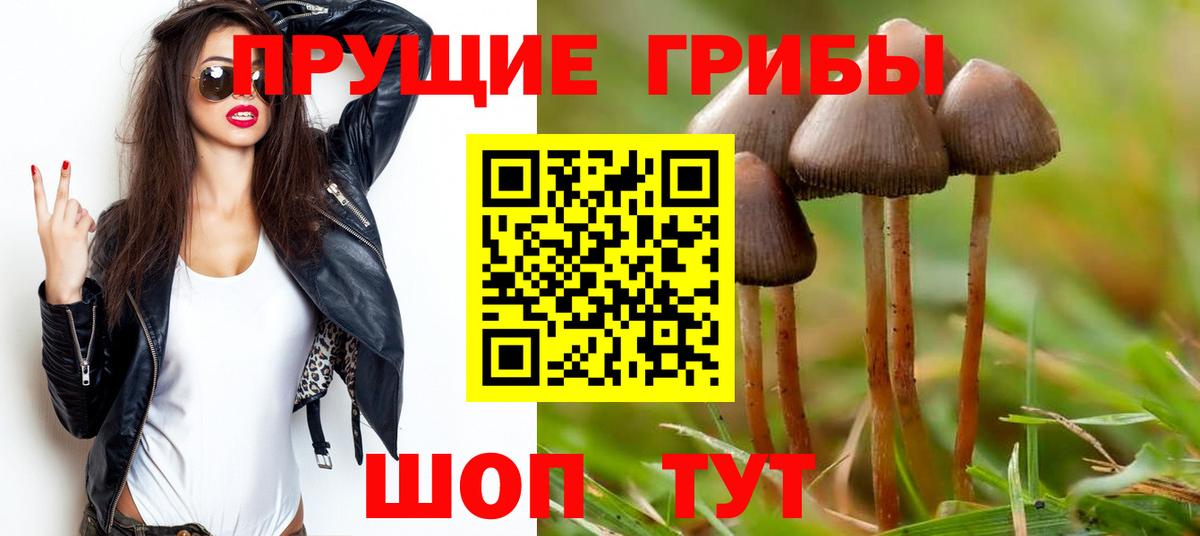 Галлюциногенные грибы ЛСД  Вход с VPN  Осинники 